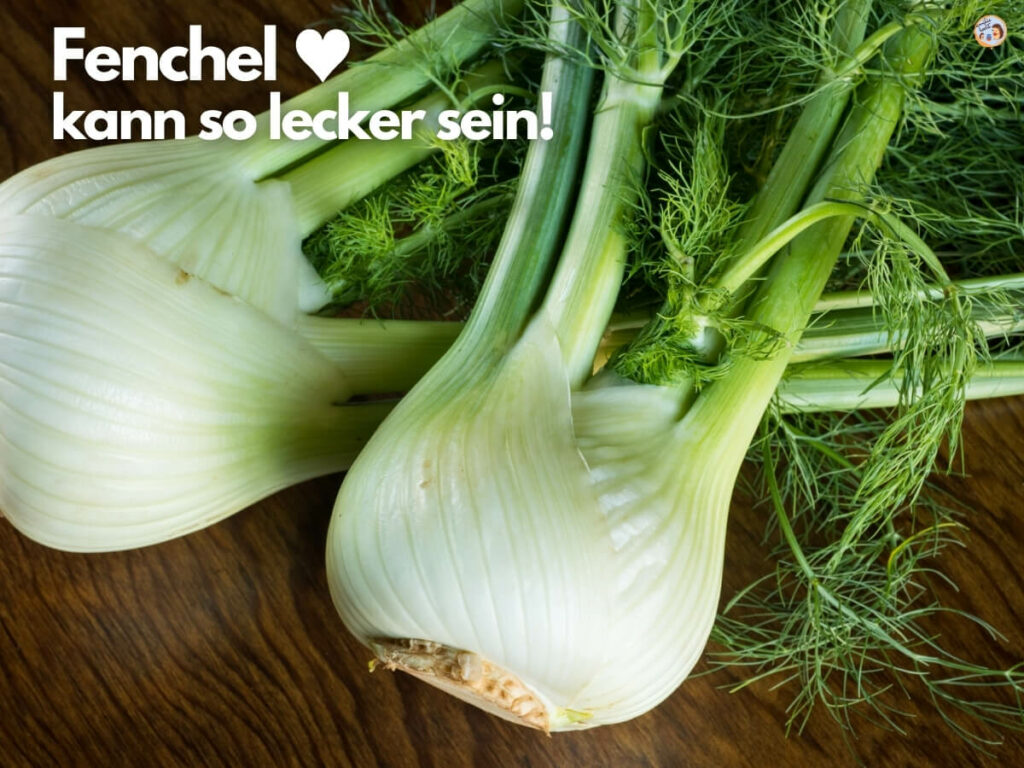 Fenchel lecker und gesund