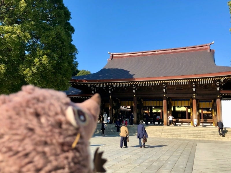 25 Meiji Jingu Schrein