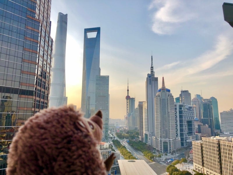 26 Blick aus dem neuen Büro