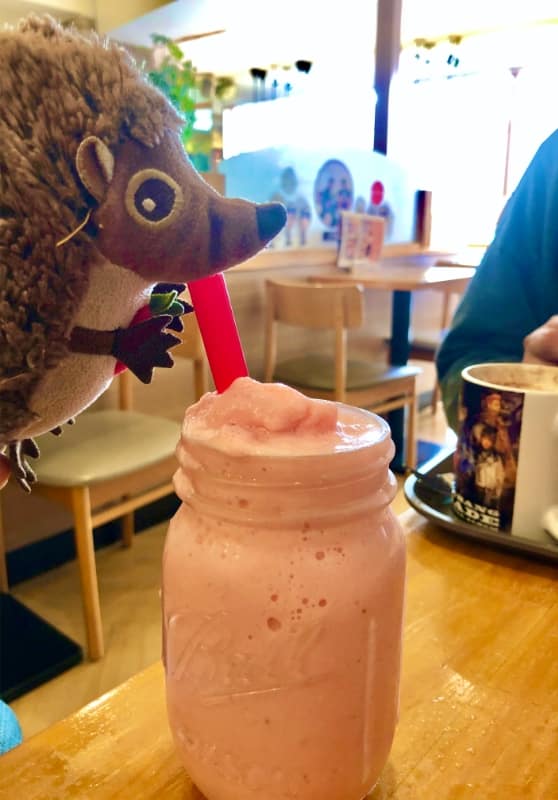 45 Leckerer Milchshake zum Frühstück