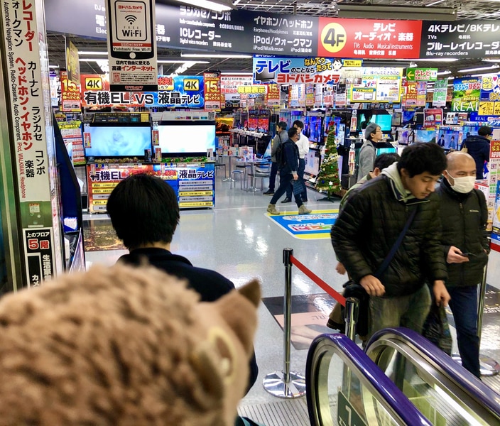 Igel in Tokyo