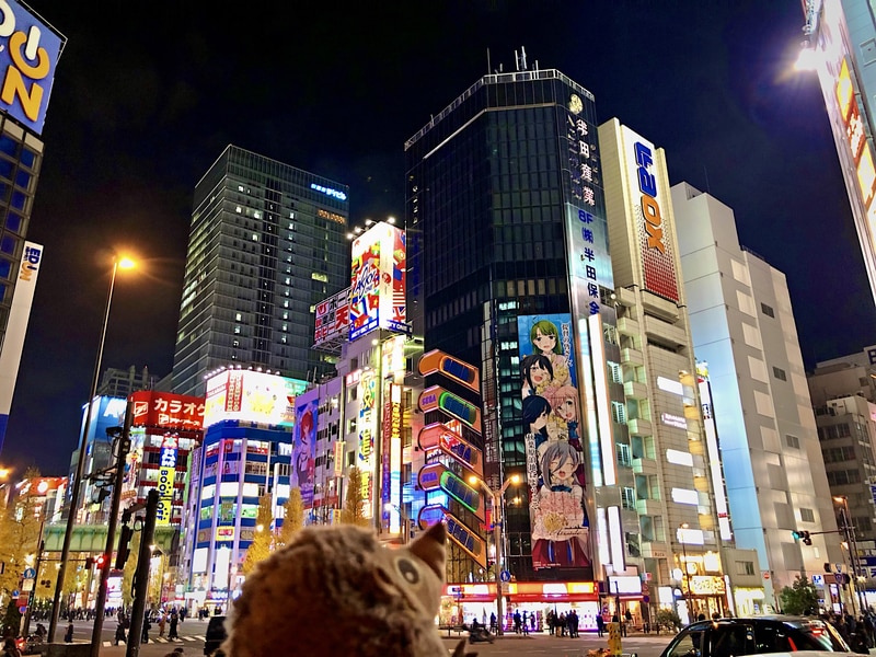 70 Akihabara bei Nacht