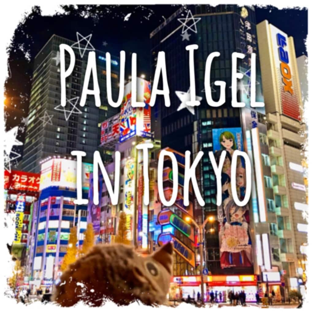 Paula Igel in Tokyo Japan