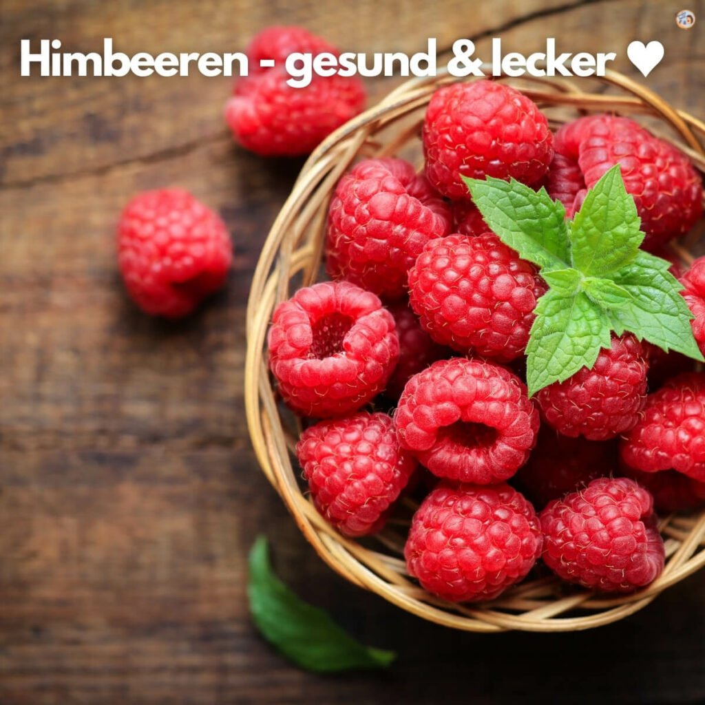 Himbeer Dessert