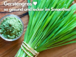 Gerstengras und Gerstengraspulver