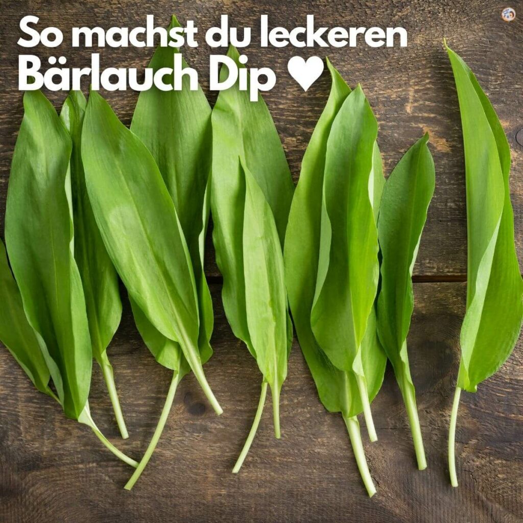 Bärlauch Dip