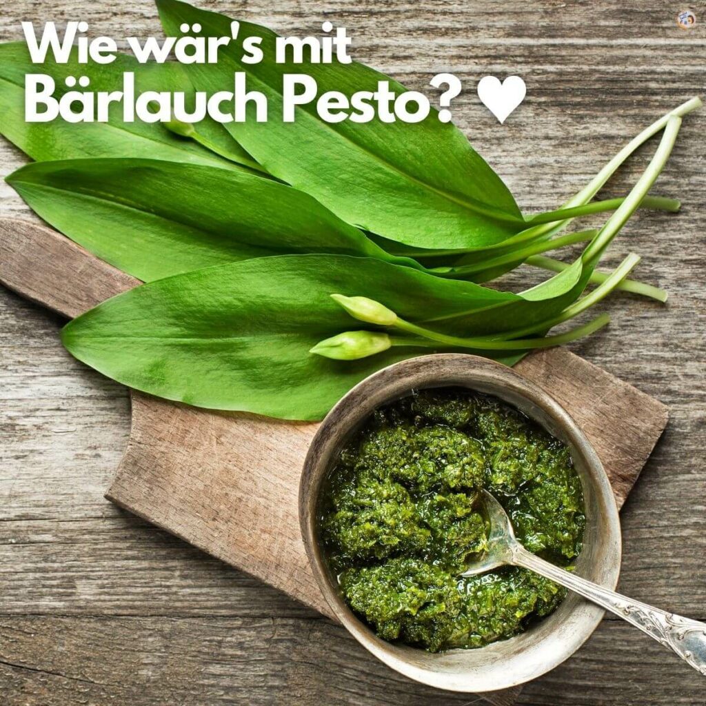 Bärlauch Pesto