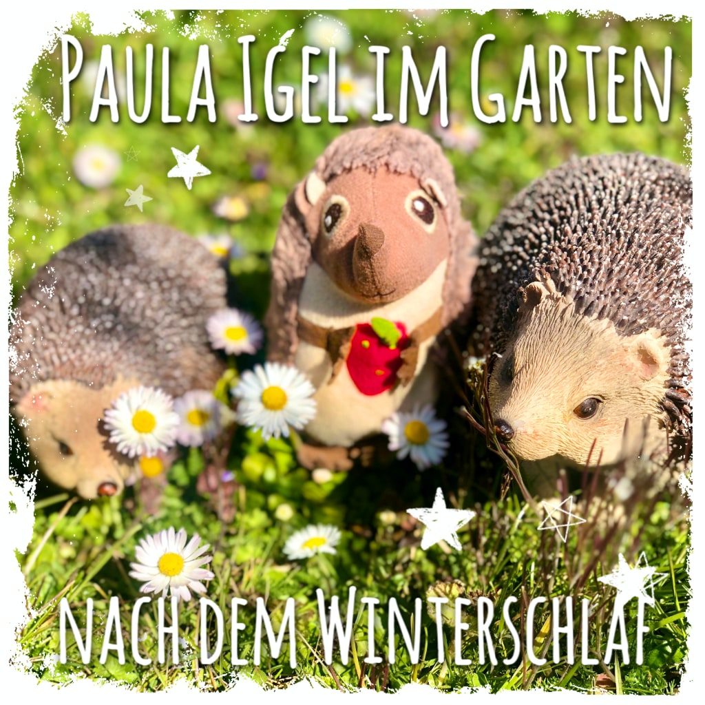 Paula Igel im Garten nach dem Winterschlaf