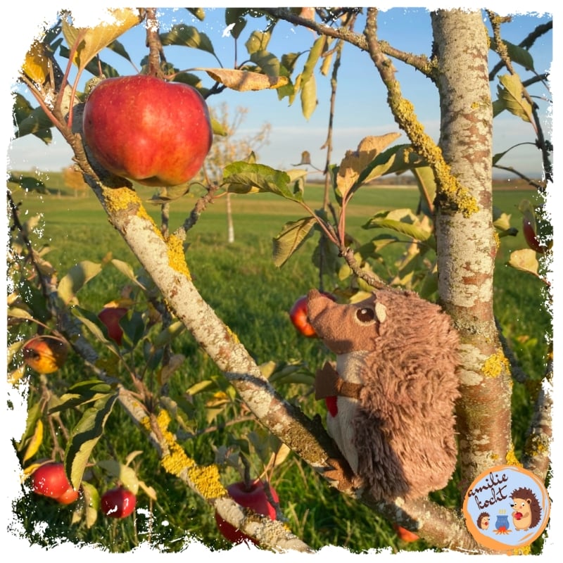 Paula Igel auf dem Bauernhof 🦔 eine Igelgeschichte zum Vorlesen