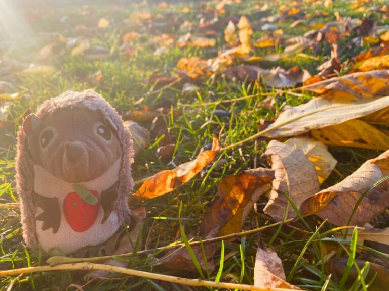 Paula Igel auf dem Bauernhof Herbstlaub