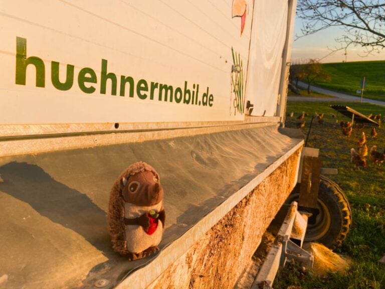 Paula Igel auf dem Bauernhof Hühnermobil