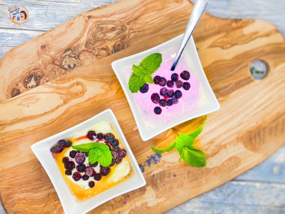 Yoghurt mit Heidelbeeren und Honig