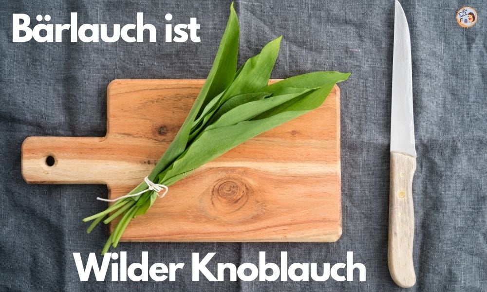 Bärlauch ist Wilder Knoblauch