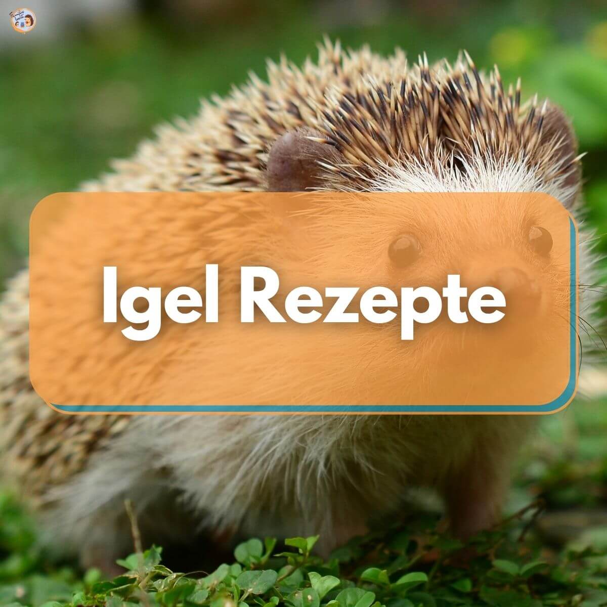 Igel Rezepte