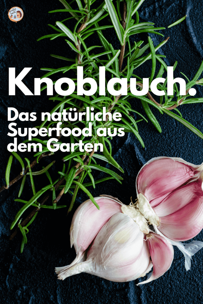 Knoblauch das natürliche Superfood Pin