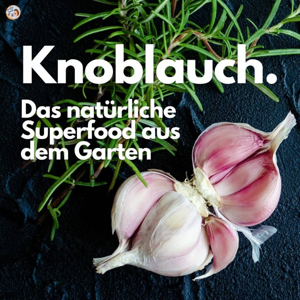 Knoblauch das natürliche Superfood