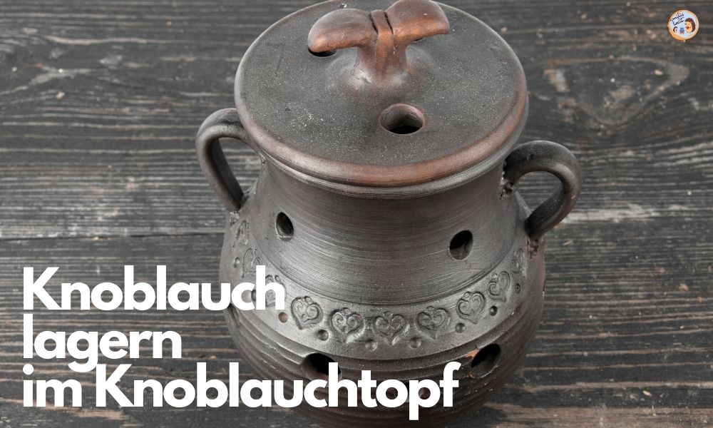 Knoblauch lagern im Knoblauchtopf