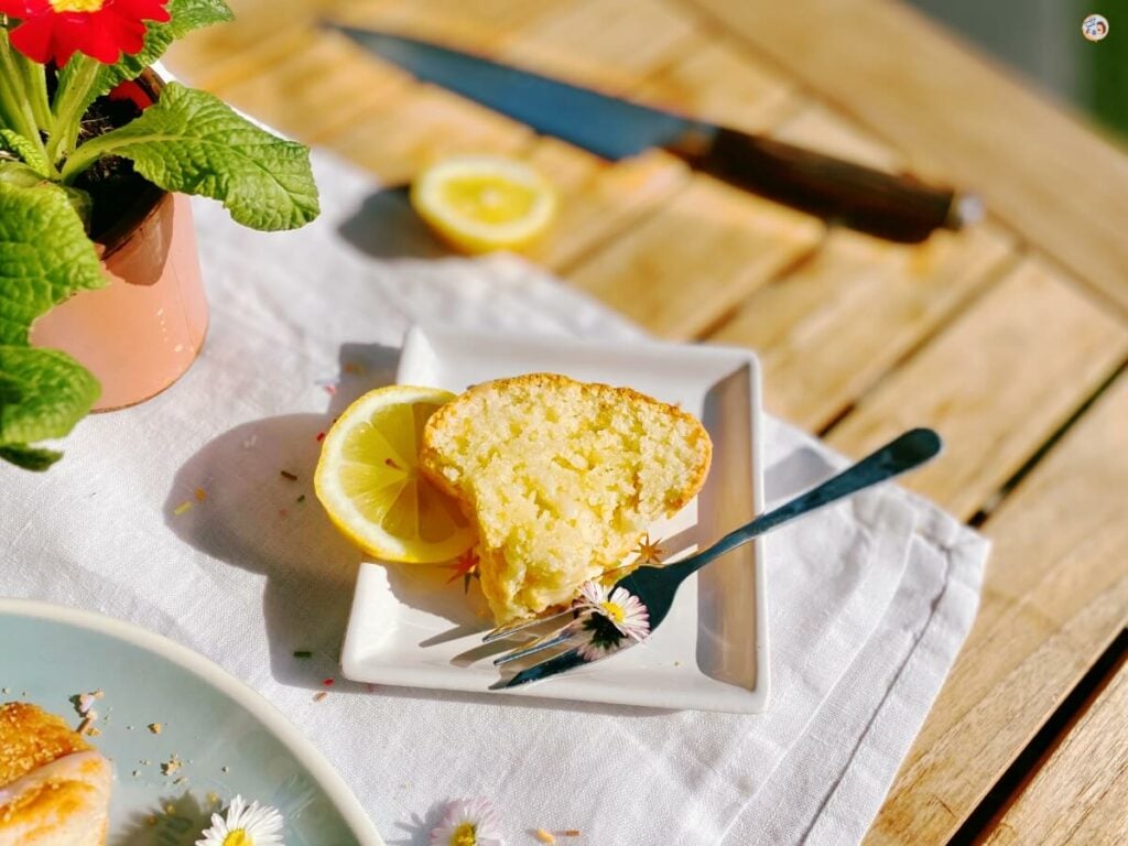 Saftiger Joghurtkuchen ohne Ei
