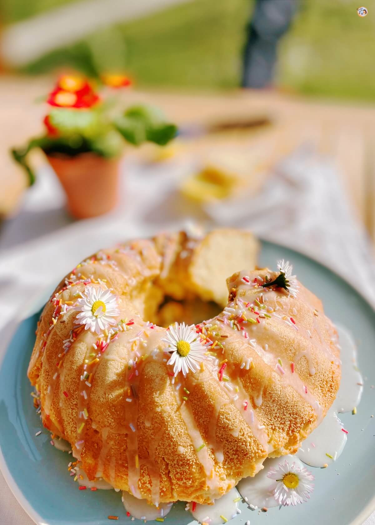 Saftiger Joghurtkuchen ohne Ei ♥ Rezept einfach + lecker