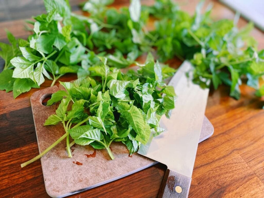 Giersch Pesto mit Sonnenblumenkernen