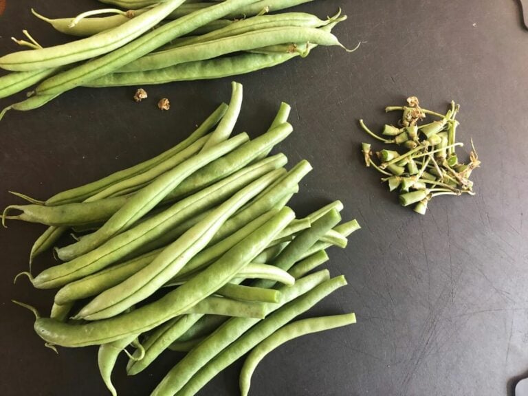 Grüne Bohnen mit Quinoa