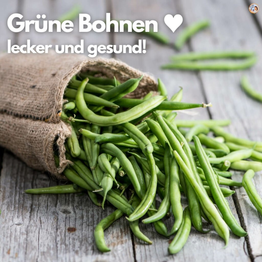 Grüne Bohnen lecker und gesund