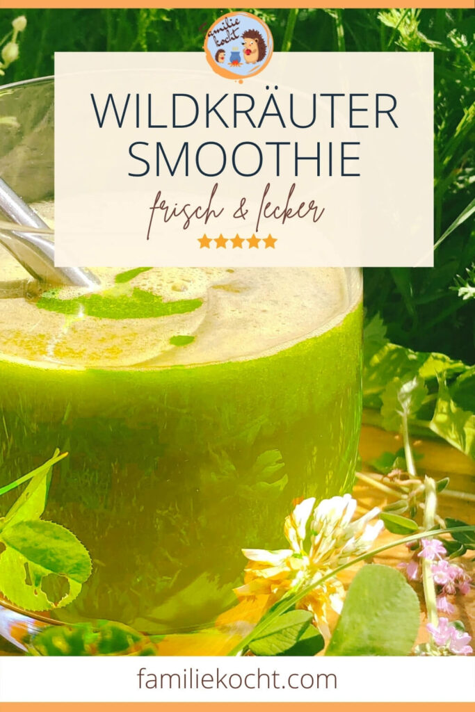 Wildkräuter Smoothie