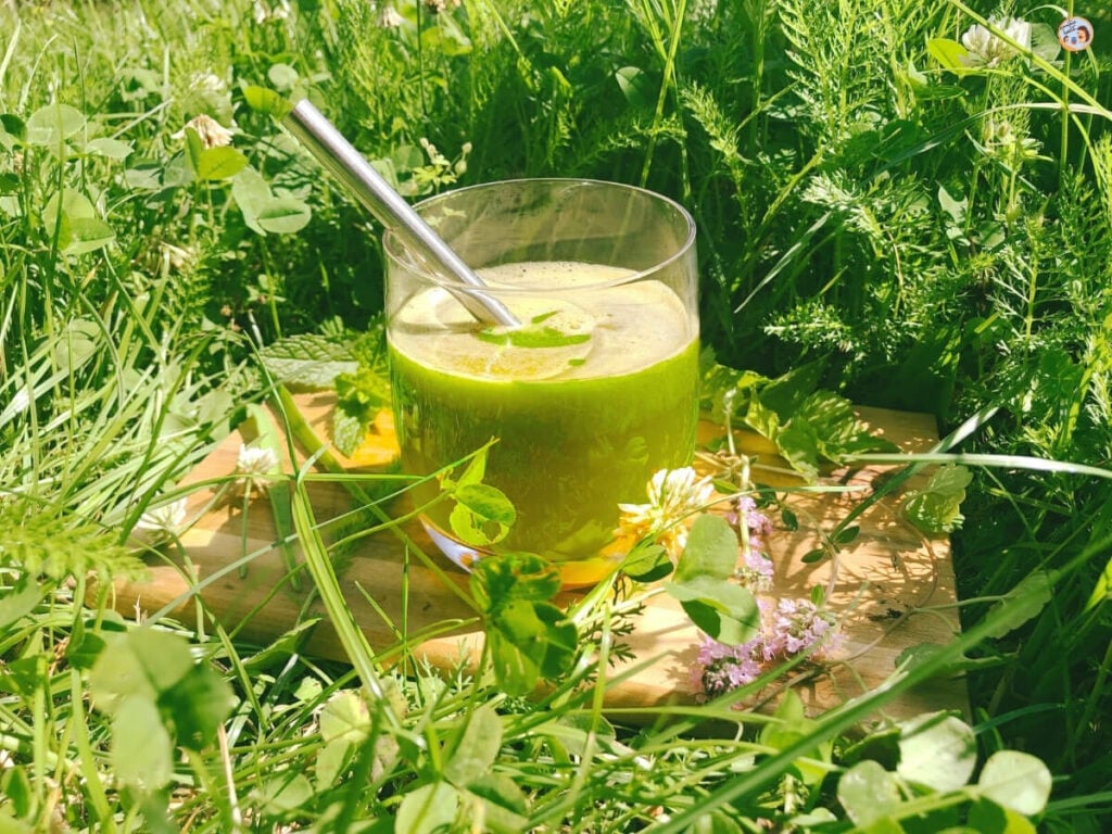 Wildkräuter Smoothie Rezept