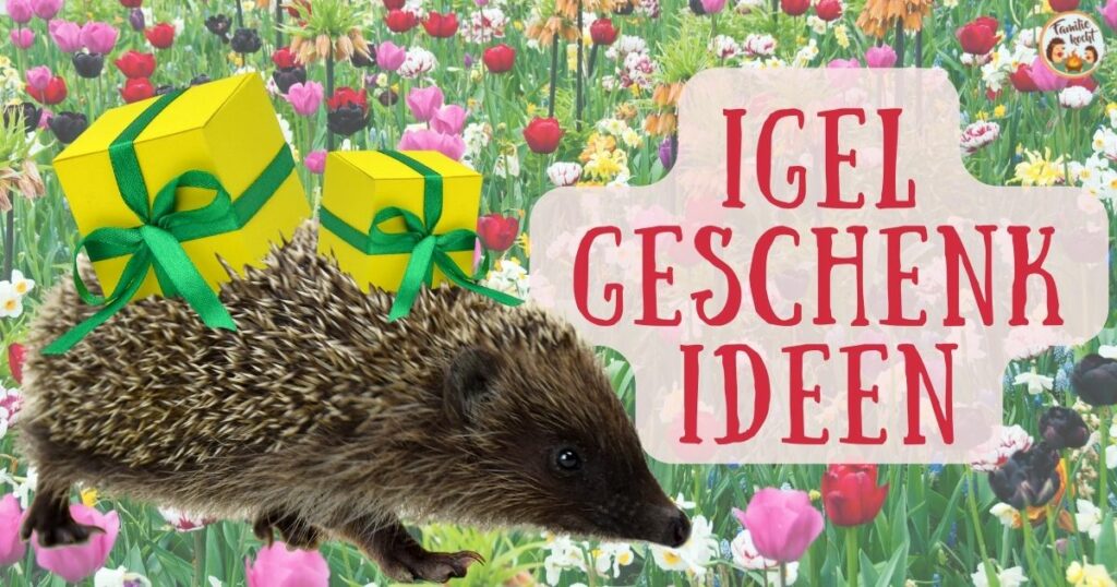 Igel Geschenkideen