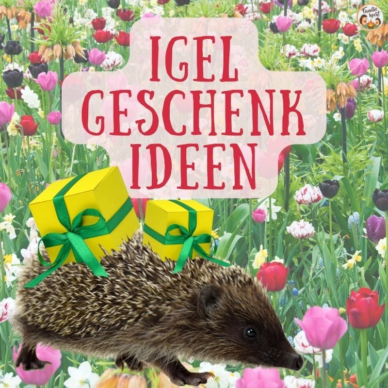 Igel Geschenkideen