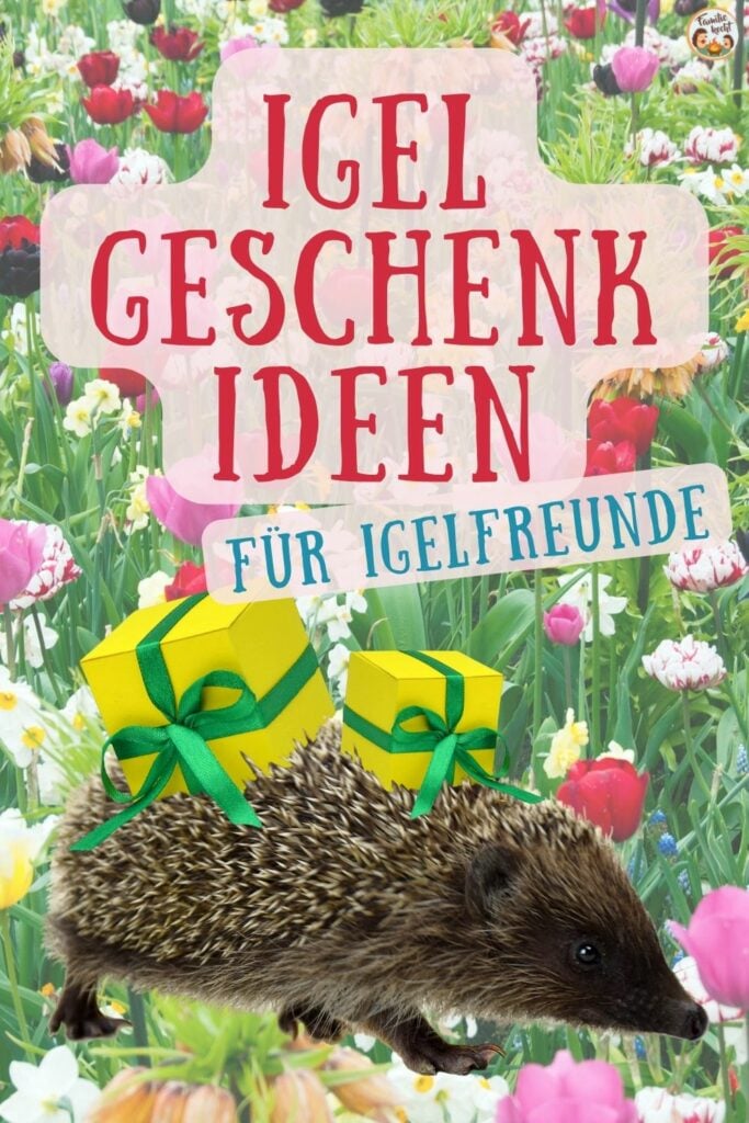 Igel Geschenkideen