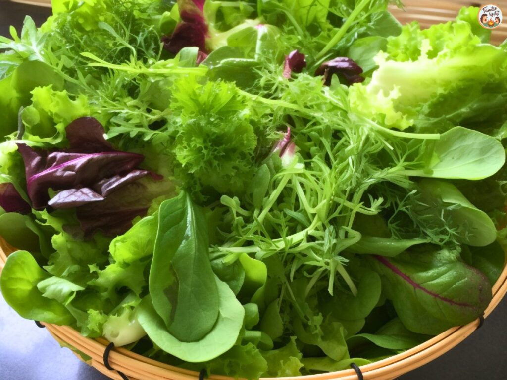Salat frisch vom Markt