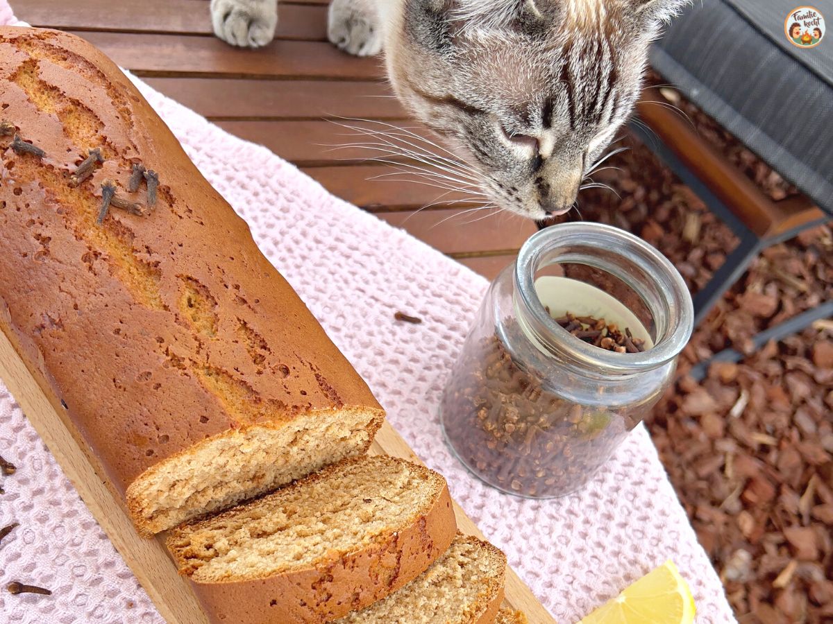 Gewürzkuchen mit Honig &amp; Zimt - Rezept von Familie kocht