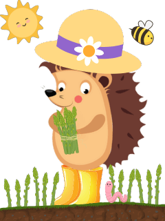 Spargel Paula